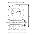 Plan Manille Lyre Haute Resistance à Boulon face