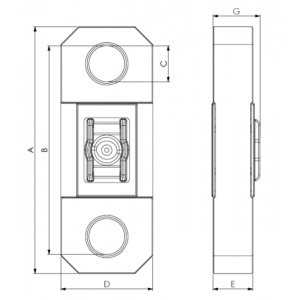 Schéma dynamomètre Dynafor pro