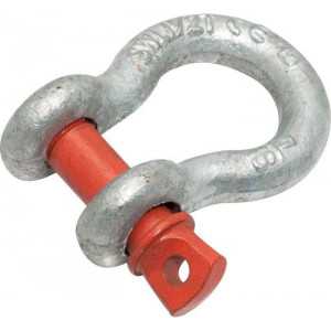 SHACKLE HR LYRE SCREW