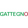 GATTEGNO